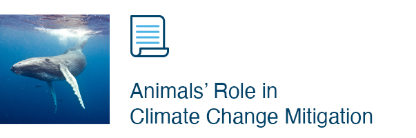 Animals’ Role in Climate Change Mitigation