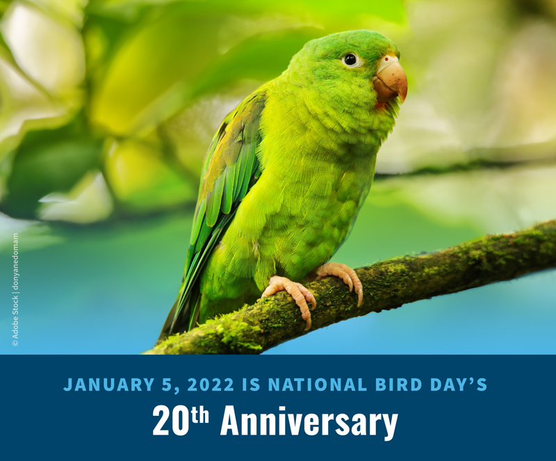National Bird Day, January 5, 2022, 20th Anniversary