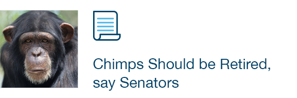 Chimps Should be Retired, say Senators