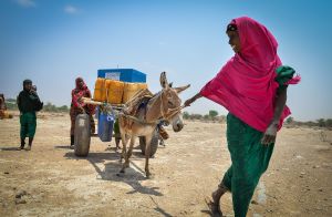 A woman walks with children and a donkey in Ethiopia.