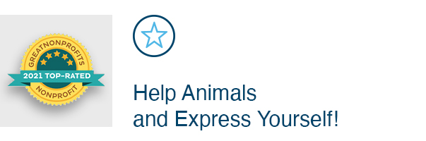 Help Animals and Express Yourself!