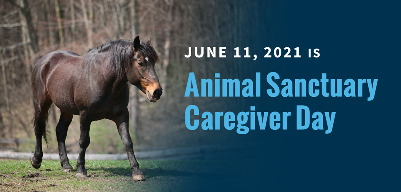 Happy Animal Sanctuary Caregivers Day