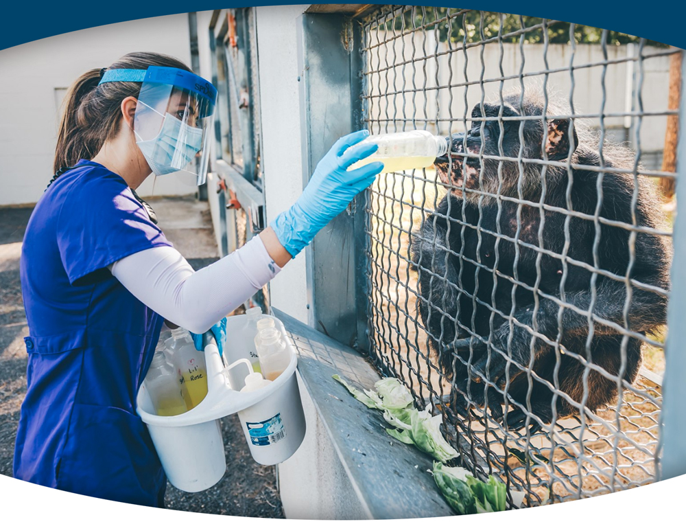 Chimp Haven Caregiver