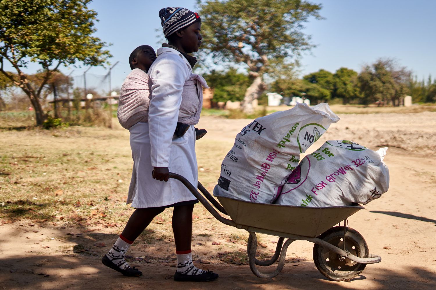 A woman in Zimbabwe pushes a wheelbarrow.