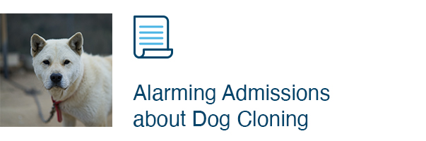 Alarming Admissions about Dog Cloning