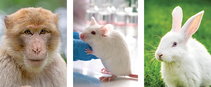 World Day for Animals in Labs