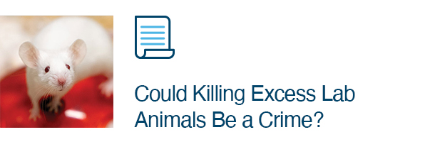 Could Killing Excess Lab Animals Be a Crime?