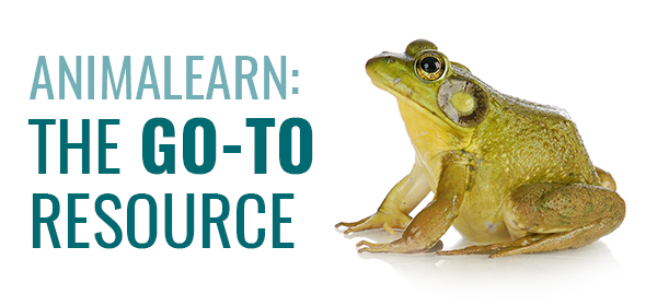Animalearn: The Go-To Resource