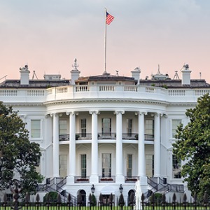 The white house