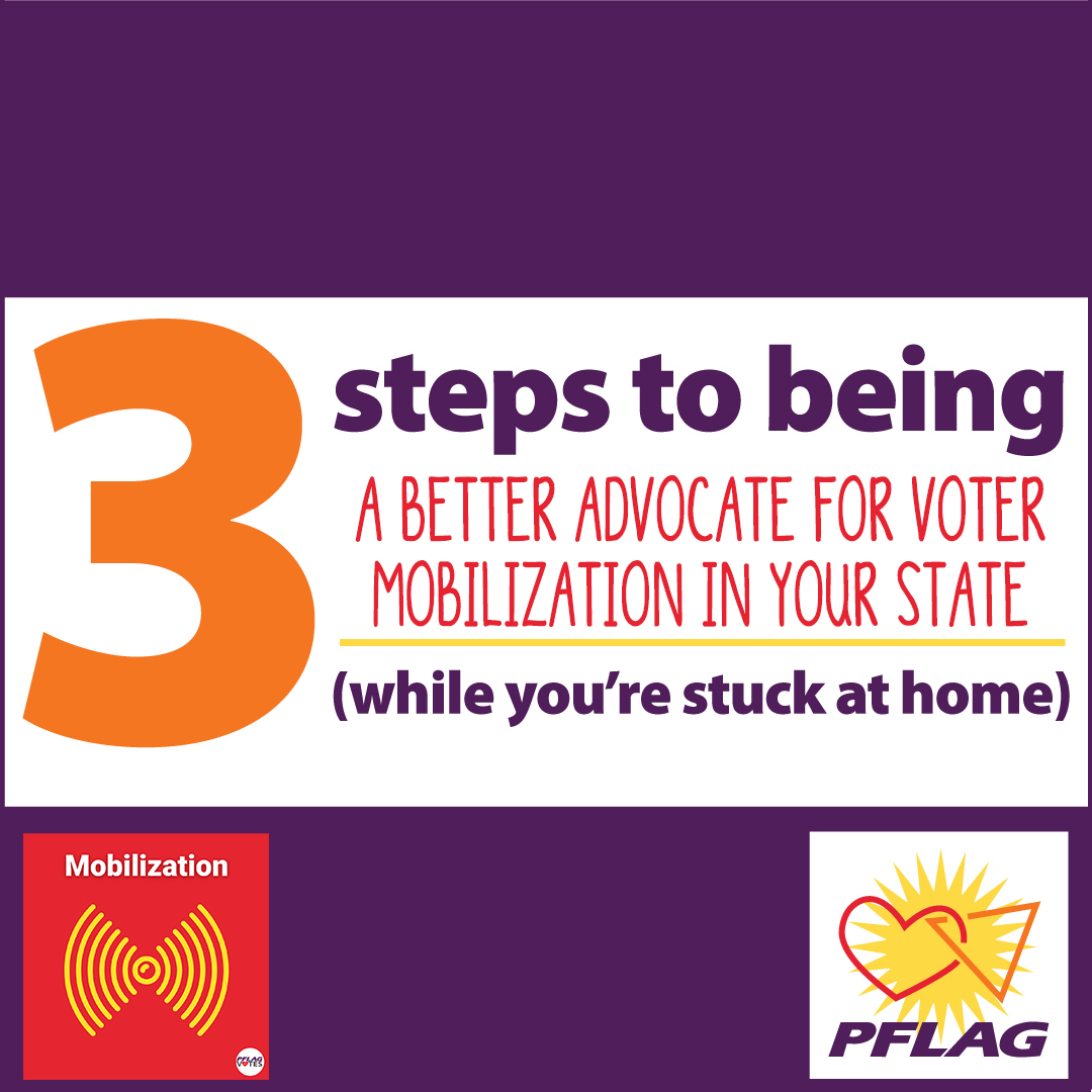 Three steps to being a better voter mobilization advocate in your state