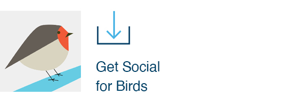 Get Social for Birds
