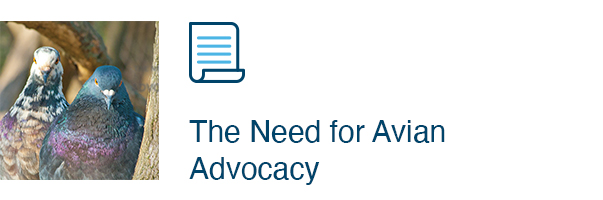 The Need for Avian Advocacy