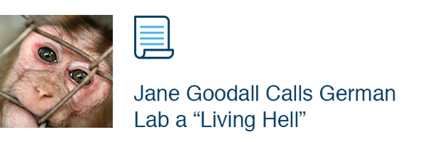 Jane Goodall Calls German Lab a 'Living Hell'