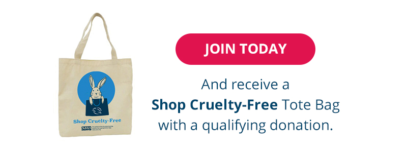 Donate Now for a tote bag