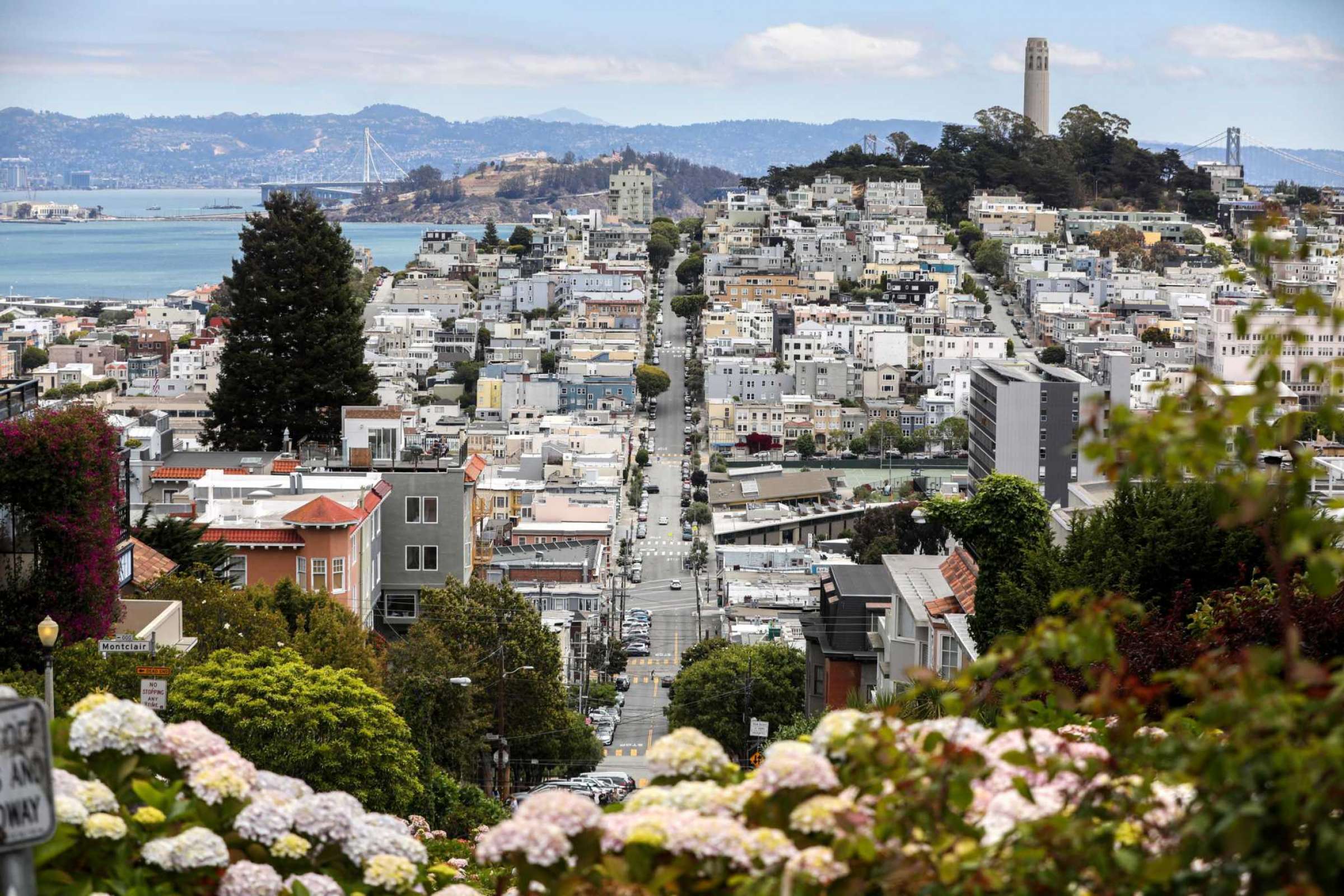 Image of SF skyline